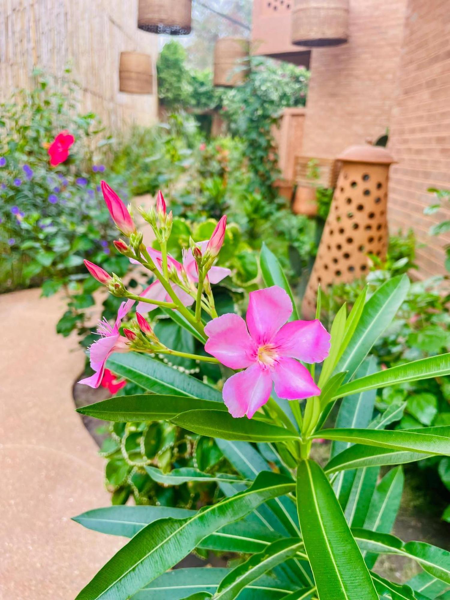Le Patio Hotel Lome Ngoại thất bức ảnh