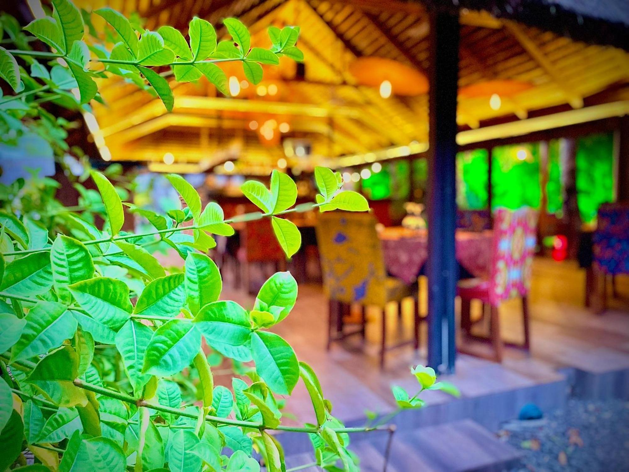 Le Patio Hotel Lome Ngoại thất bức ảnh